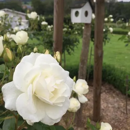 Le Piano Blanc Hébergement de vacances *